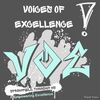 VOICES OF EXCELLENCE